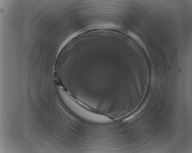 X0000081361226200702020132