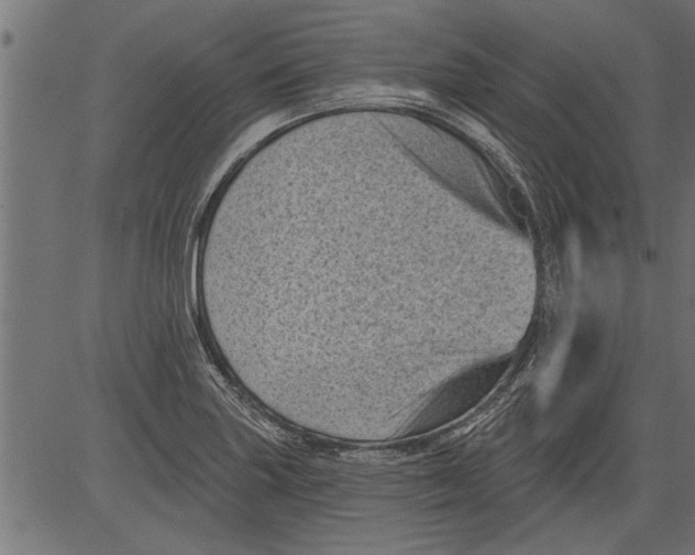 X0000081361227200702020132