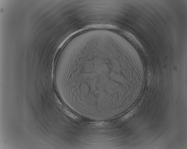 X0000081361228200702020132