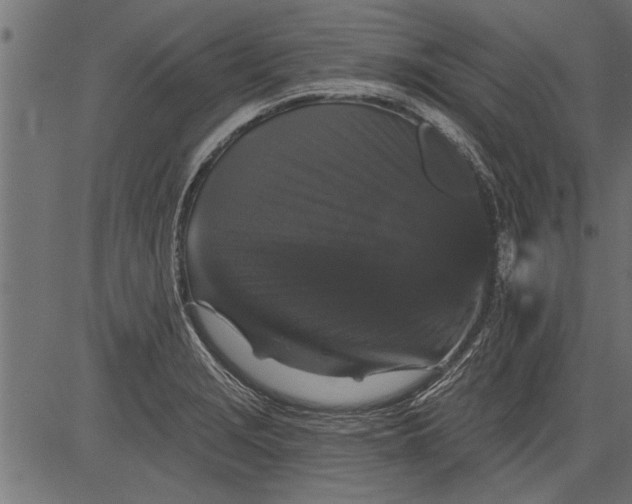 X0000081361229200702020132