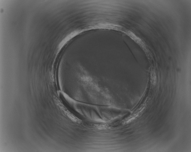 X0000081361230200702020132