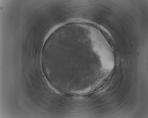 X0000081361231200702020132