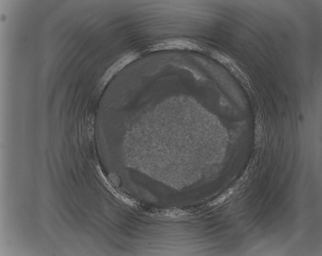 X0000081361233200702020132