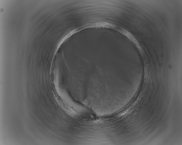 X0000081361234200702020132