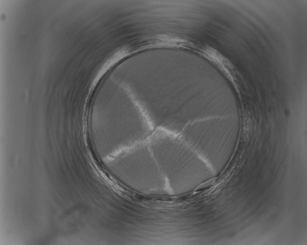 X0000081361235200702020132