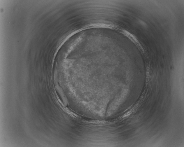 X0000081361236200702020132