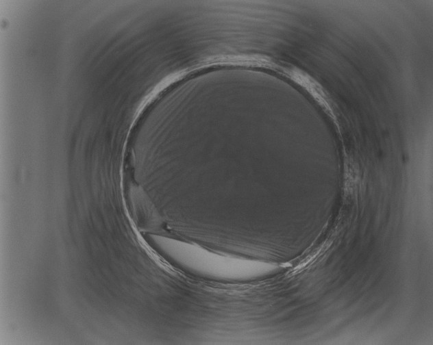 X0000081361237200702020132