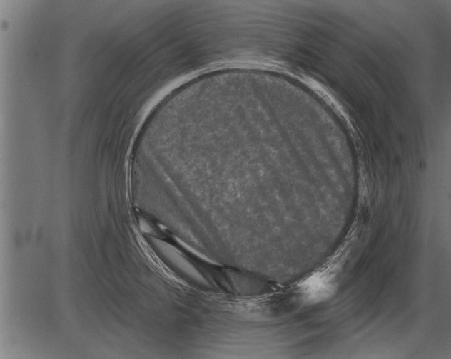 X0000081361238200702020132