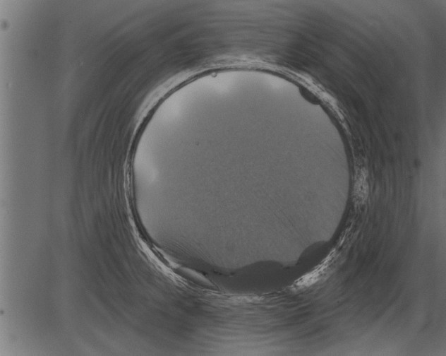 X0000081361239200702020132