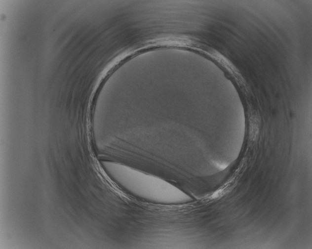 X0000081361240200702020132