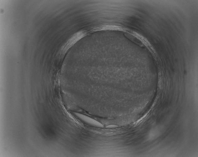 X0000081361241200702020132