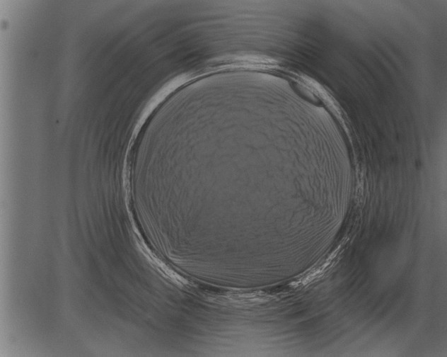 X0000081361243200702020132