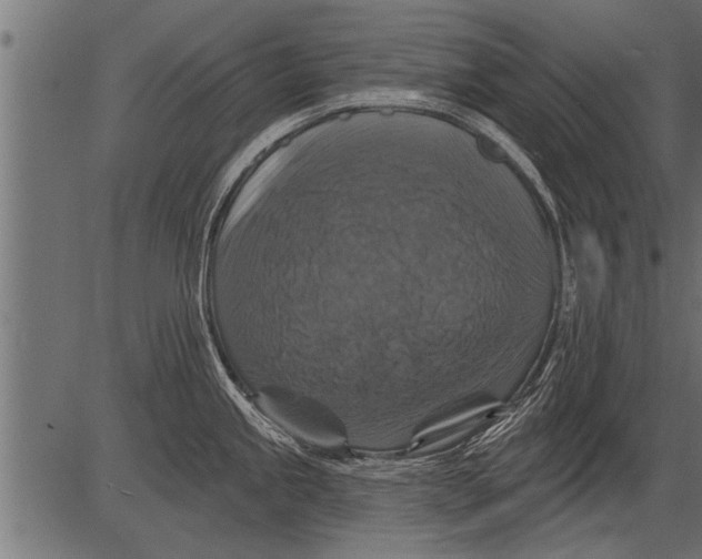 X0000081361245200702020132