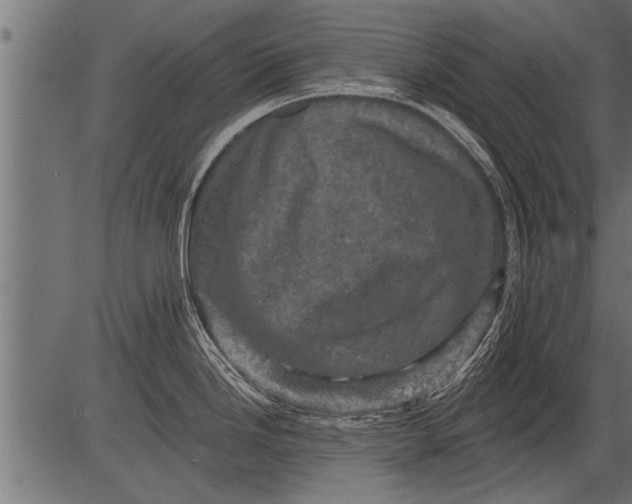 X0000081361246200702020132