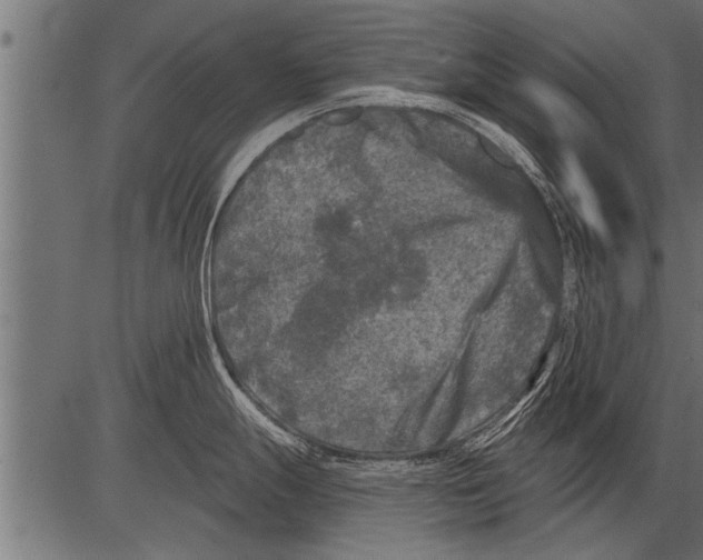 X0000081361247200702020132