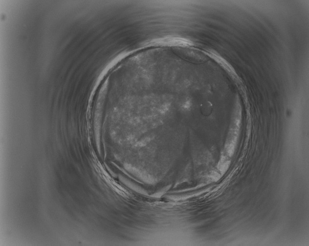 X0000081361248200702020132