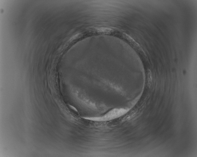 X0000081361249200702020131