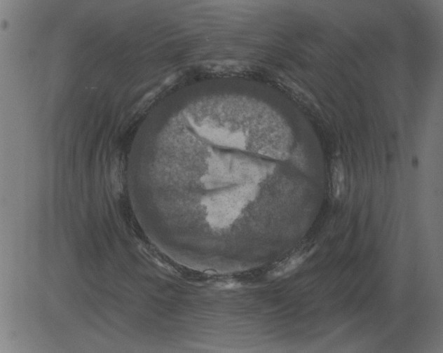 X0000081361250200702020131