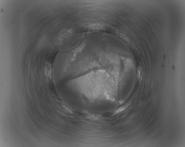 X0000081361251200702020131