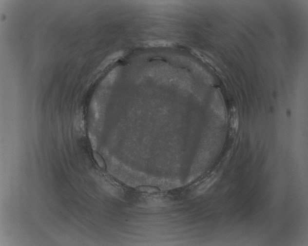 X0000081361252200702020131