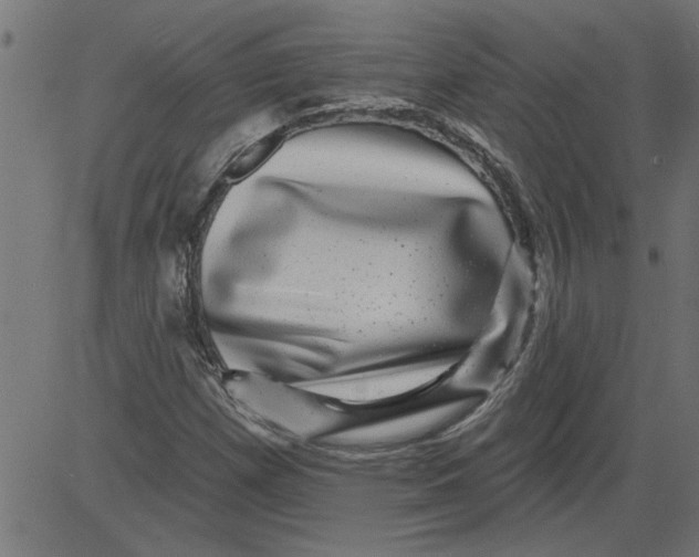 X0000081361257200702020131