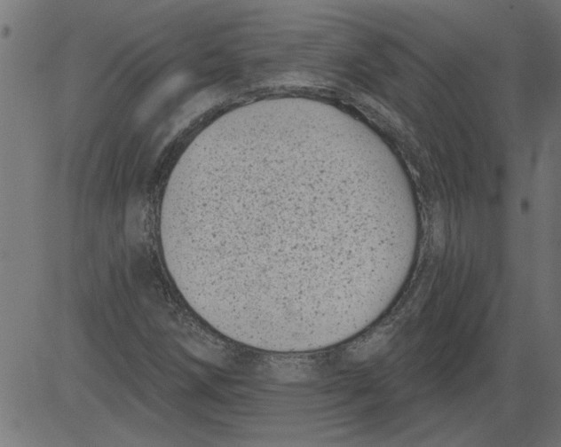 X0000081361258200702020131