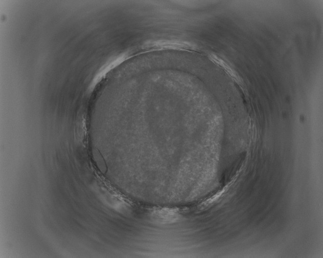 X0000081361261200702020131