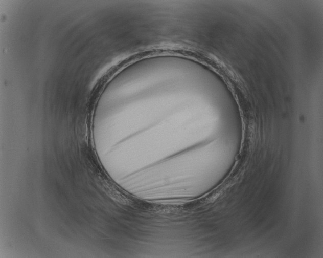 X0000081361262200702020131