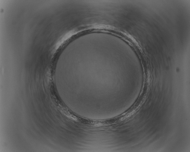 X0000081361263200702020131