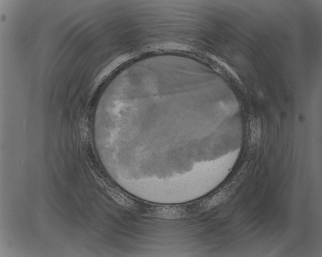 X0000081361266200702020131