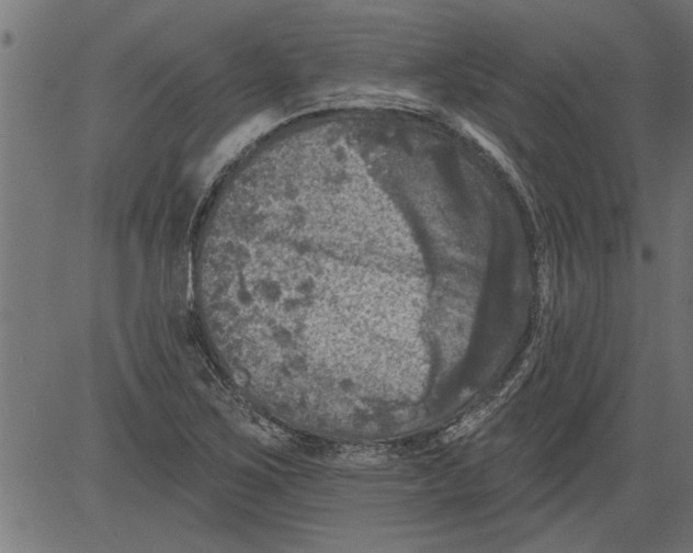 X0000081361267200702020131