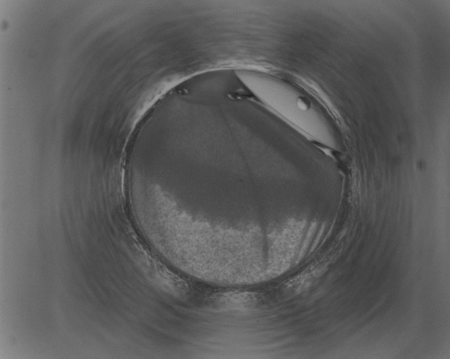 X0000081361268200702020131