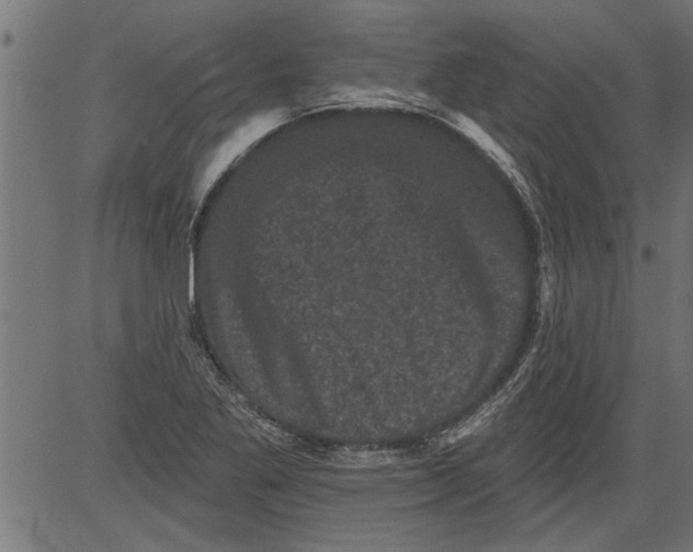 X0000081361269200702020131