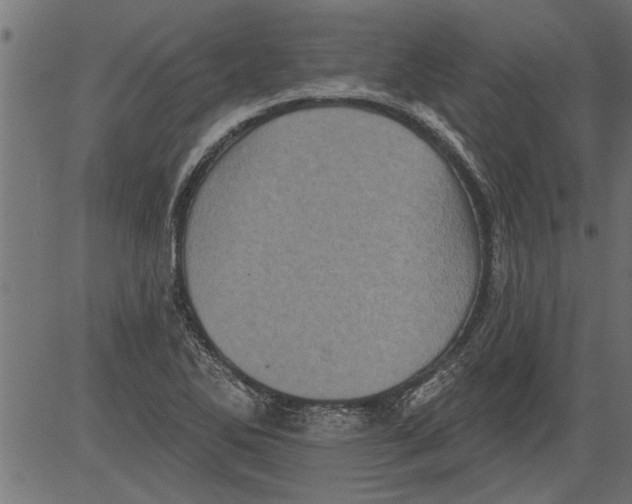 X0000081361270200702020131