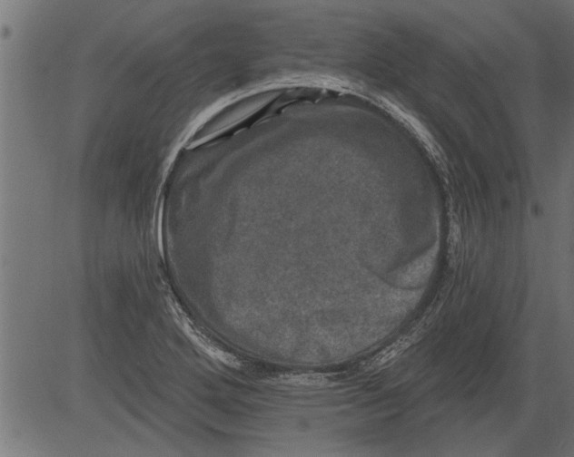 X0000081361272200702020131