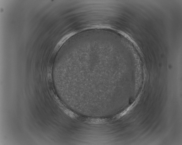 X0000081361273200702020131