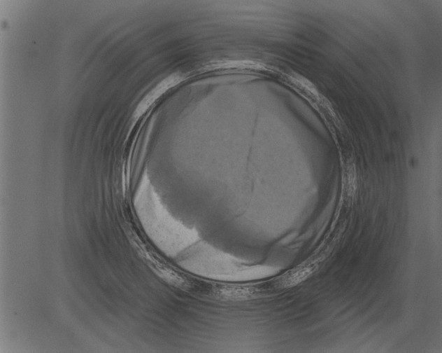 X0000081361274200702020131