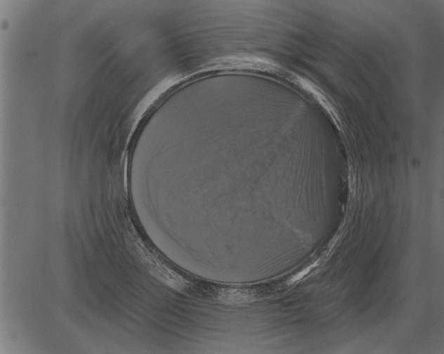 X0000081361275200702020131