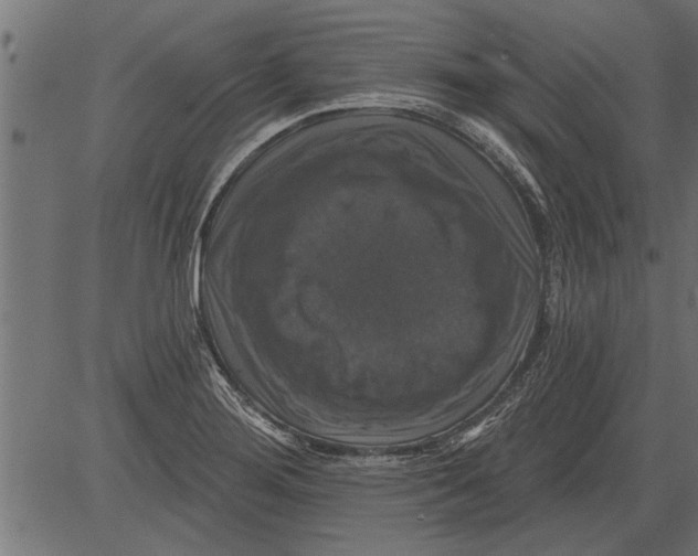 X0000081361276200702020131