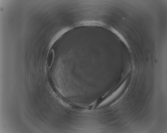 X0000081361277200702020131