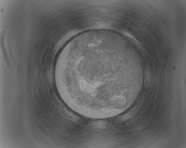 X0000081361278200702020131