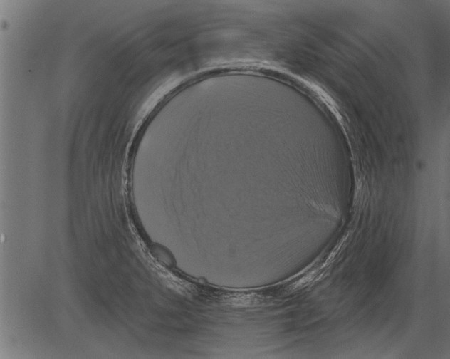 X0000081361279200702020131