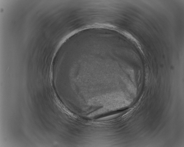 X0000081361280200702020131