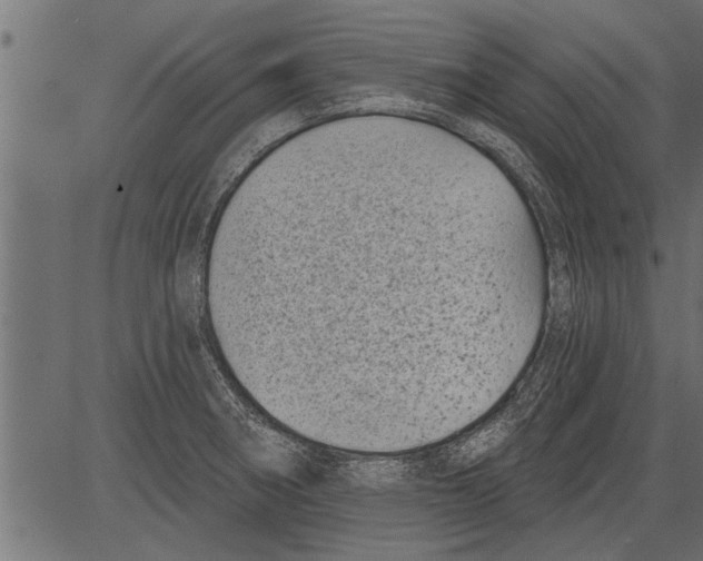 X0000081361282200702020131