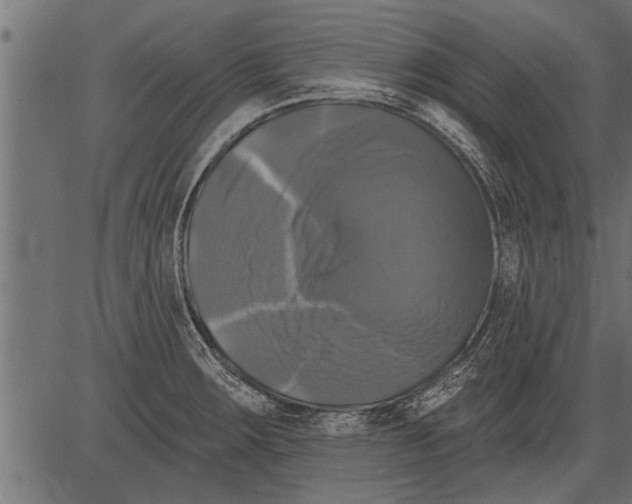 X0000081361283200702020131