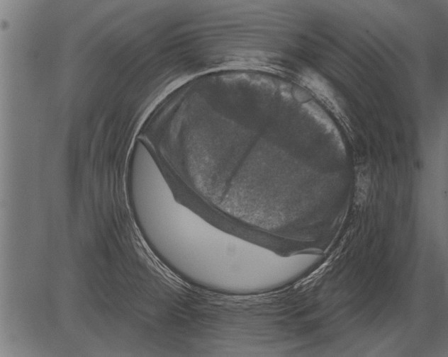 X0000081361284200702020131