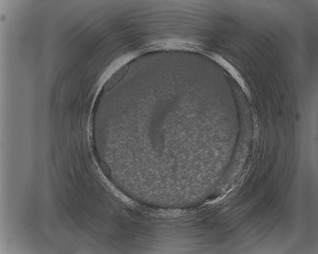 X0000081361285200702020131