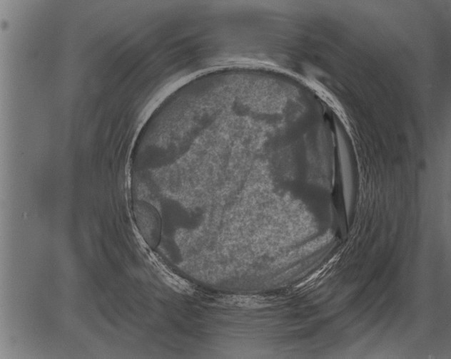 X0000081361287200702020131