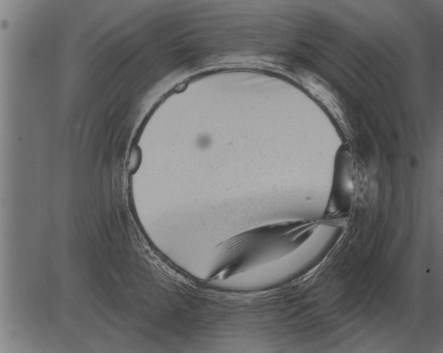 X0000081361288200702020131