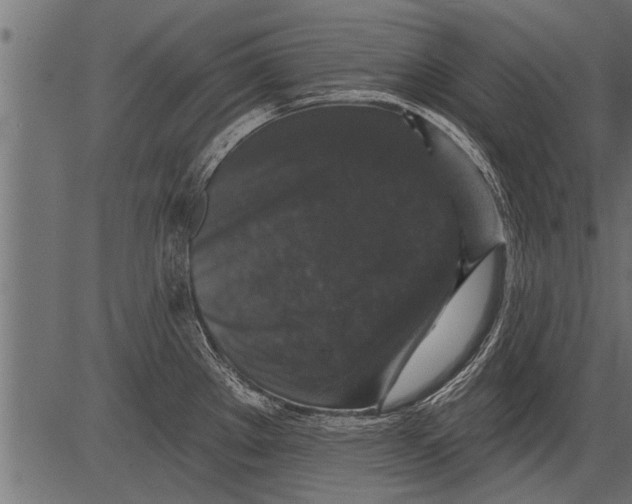 X0000081361289200702020131